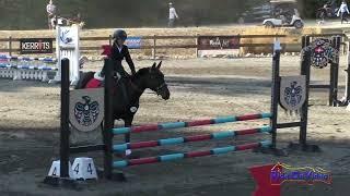 276S Zachary Sherer on Irish Storm Open Beginner Novice Show Jumping Aspen Farms Sept. 2023