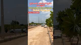 HMDA Open plots for sale in Shadnagar | Bangalore Highway | Hyderabad