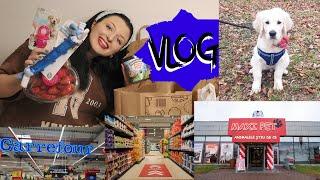 VLOG/ Viata cu un Golden Retriever (prima plimbare) & Haul Pepco, Carrefour, Kaufland, Maxi Pet