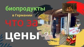 Сколько стоят Биопродукты в Германии