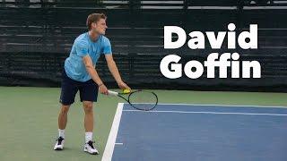 DAVID GOFFIN'S SERVE IN SUPER SLOW MOTION by TennisAcademy101