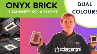 Onyx DualWhite Solar Brick Light