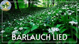 Bärlauch Lied - Ich sehe nur noch Bärlauch