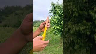 DIY Handmade Bamboo Creation with Colourful Balloon Slingleshot #Diy #Slingshot #Bamboo