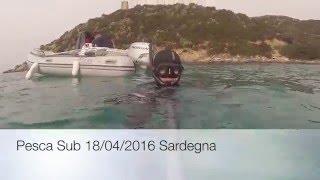 Uscita in Gommone - Pesca Sub Sardegna -