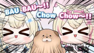 BAU BAU~!!Chow chow~!!【hololive clips/FUWAMOCO/hololive English】