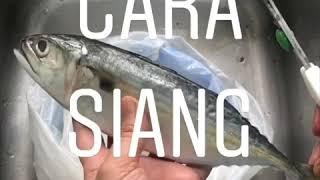 Cara Siang Ikan Kembung / How to clean mackerel