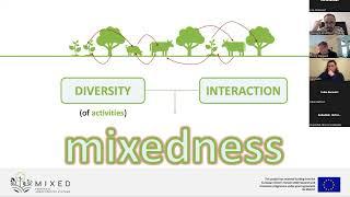 A framework for efficiency and resilience assessment of MIXED systems