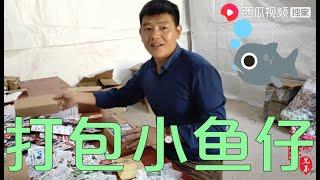 【山鍋兄弟】10万包小鱼仔免费试吃加班打包，又香又辣很入味，根本停不下来