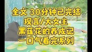 【完结文】全文30分钟已完结，现言/大女主