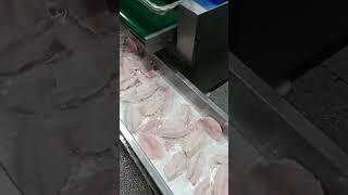 #frozen fish thermoforming vacuum packaging machine #fresh fish meat vacuum packaging machine