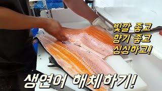 생연어 손질(수박향이 솔솔~) How to fillet a whole salmon 연어 오로시