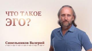 Что такое Эго человека? Валерий Синельников