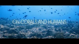 On Corals and Humans - MarHe Centre (Bicocca) Coral Restoration 2019