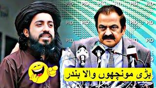 Hafiz Saad Hussain Rizvi V/S Rana Sanaullah\Negotiations With TLP@LabbikViralNewsOfficial#viral