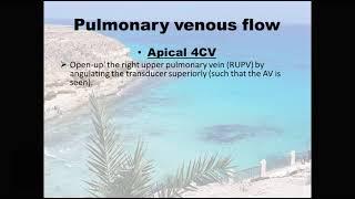 Diastolic Function