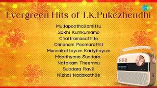 Evergreen Hits of T.K.Pukezhendhi | Onnanam Poomarathil | Mannakattayum Kariyilayum|Chaitramasathile