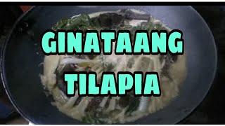 GINATAANG TILAPIA/Robbies Vlog