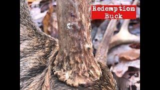 Redemption buck with new single pin bow site