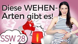 SSW 28: Wann du welche Wehen hast und was sie bedeuten | Mein Kinderwunsch