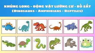 Dạy bé học tiếng Anh chủ đề: Khủng long - Động vật lưỡng cư - Bò sát | Oh Vui Kids