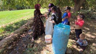 The journey of a nomadic family to work in the walnut orchards