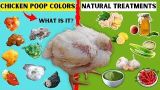 WHAT EACH COLOR OF CHICKEN POOP MEAN AND HOW TO TREAT EACH USING NATURAL TREATMENTS