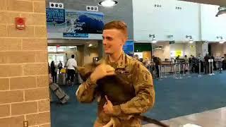 A local soldier reunites with a puppy he cared for in Syria