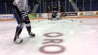 Seadogs Goalie Practice Screens and Deflectors