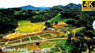 함안악양생태공원 | 뚝방길 | 드론영상 | 핑크뮬리 | Haman Akyang Ecological Park.