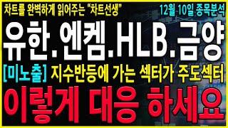 [유한양행 엔켐 HLB 금양 주가 전망] "긴급" 12월전략! 반드시 버텨야 합니다. 추가적인 상승흐름 반드시 나올겁니다!  #엔켐주가 #금양 #유한양행