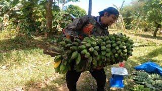 Namili kami ng saging kinulang ang dala naming budget sa sobrang dami