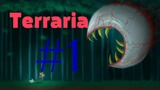 Terraria #1 (Тыквенный Король)