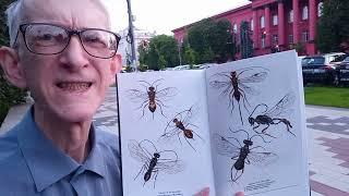 Science of Entomology: About Pests & Parasitic Wasps & Predaceous Entomophagous insects Kyiv Ukraine