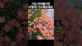 감사기도로 하루를 시작했더니 정말 달라졌어요, 기도 잘하는 방법｜기도의 내용과 방법, 기도의 시작과 마침｜기도찬양｜많은응답을받았던 말씀과기도｜날기새｜조정민｜김병삼｜유기성｜이찬수