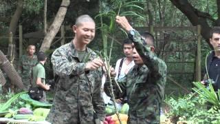 US Marines Snake Eating and Jungle Survival Training in Thailand