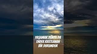 Yaşamak Dünya da ender rastlanan bir durumdur...! #ömerhançeri #shorts #güzelsözler #keşfet