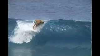 ON DEMAND: Billabong Surf TV Season 2 Episode 1 Trailer