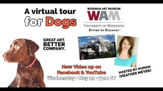 WEISMAN Art Museum Virtual DOG TOUR with Heather Meyer, The Theater of Public Policy