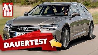 Audi A6 Avant (2021) | So schlägt sich der A6 nach 115.000 Kilometern | Dauertest mit Tim Dahlgaard