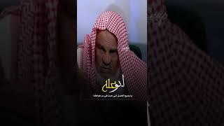 حسن ابو عله || كل شيء فيك يغري