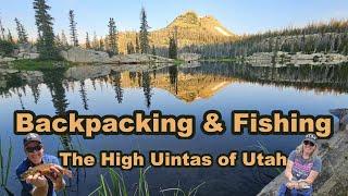 Backpacking & Fishing the High Uintas of Utah | Friends, Tiger Tout, & Backcountry Lakes #uintas