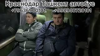 Краснодар Ташкент автобус#Краснодар Ташкент автобус прямой рейс#Краснодар Самарканд прямой рейс