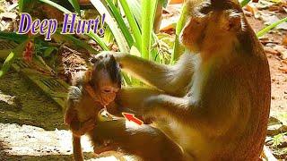 How can baby Anissa live mom Anna if cruel mom Anna fighting her everyday like this