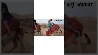 Camel Ruk Ja  Funny Animals Dubbed Video #funny #voiceover #rjstomar