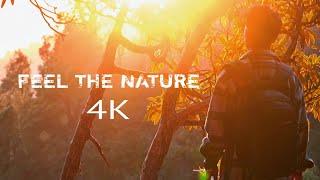 feel the nature | 4K CINEMATIC SHORT VIDEO | NATURE CINEMATIC VIDEO | SHORT FILM WORLD CINEMATIC