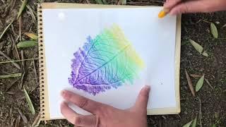 How to make a Leaf Rubbing with Crayons