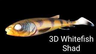 Découvrez les 9 nouvelles couleurs du 3D Whitefish Shad Savage Gear