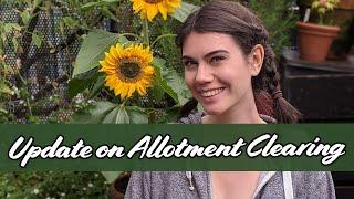 I've Been Clearing My Allotment - Here's An Update | Lucy Bloom