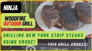 Ninja WoodFire Grill - Grilling Steak and Asparagus using SMOKE - in the new Wood Fire Grill